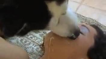 Stunning dark-haired beauty passionately blows her pup's cock beside the swimming pool