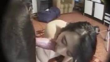 Black doggy nicely drills a cheating whore from behind