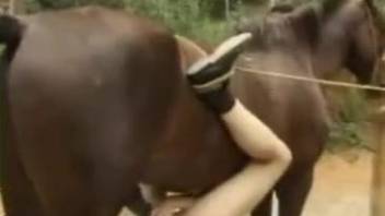 Big brown stallion impaled hot slender girl in the forest