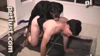 Black dog and hot male zoophile have nasty animal sex