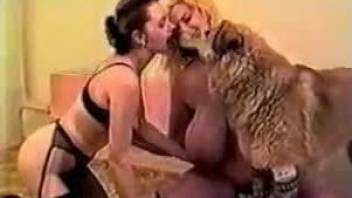 Retro orgy video featuring two MILFs and their canine lover