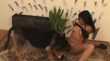 Sexy Latina gets ravaged by an even sexier dog