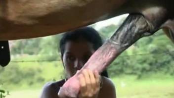 Toned slut with small tits enjoys hardcore stallion sex