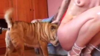 Doggy drills a slender blonde MILF in the bedroom