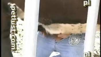 Rancher toys with his personal bovine on the ranch in animal sex encounter