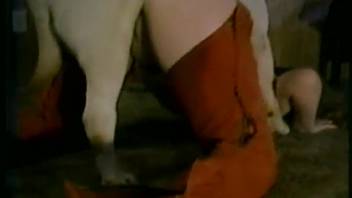 Obedient canine thrusting into domina wearing unique rodeo chaps