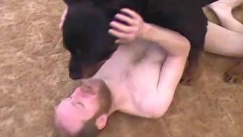 Black dog and owner are banging in ass to ass pose
