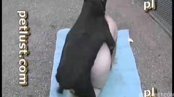 Intense bestiality video featuring a totally depraved dog owner