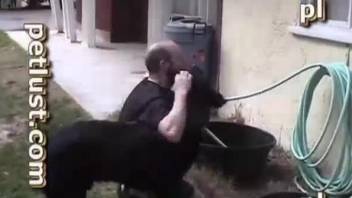 Owner is trying anal sex with his own pet in doggy style