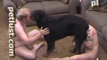 Two dirty men are playing with a big black doggy