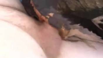 Aroused guy chooses to stretch a beast's wet vagina