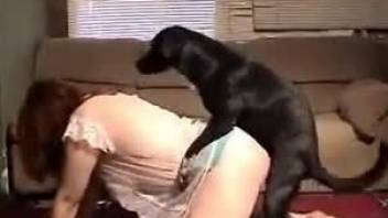 Horny woman with a big ass is fucked by a doggie
