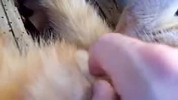 Guy stimulating his girl's adorable tiny vagina