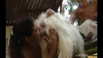 Outdoor clip featuring a hot goat and a pair of horny Latin babes