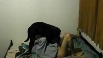 Dog humps woman in the pussy during her cam show