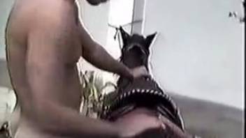 Guy fingers and fists pony's orifice outdoors in the open air