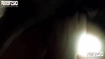 Disguised beauty sucks on a wet canine cock and gets tongued
