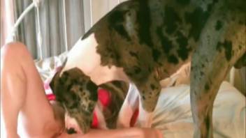 Expertly executed doggy style with a hot spouse banging in the bedroom