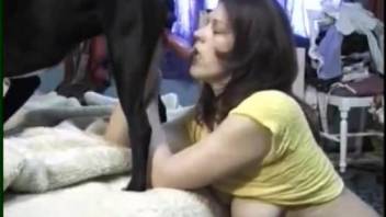 Passionate black dog nicely sucked by big-boobed hottie