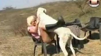 Blond-haired babe enjoying sideways sex with a dog
