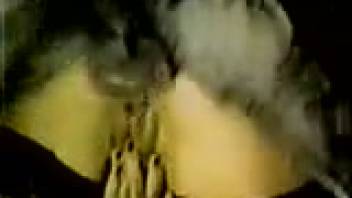 Traditional homemade scenes of canine intercourse captured on webcam