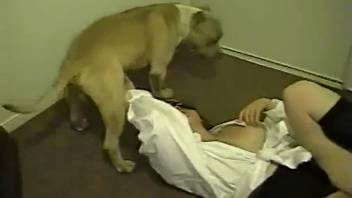 Disguised student girl receives oral from a canine before penetration