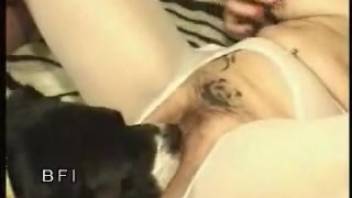 Canine penetrates wedded lady in stunning adult bestiality scene