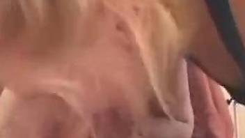 Blonde female adores deep sucking the dog's cock