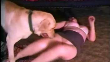 Pale-skinned chick getting viciously drilled on all fours