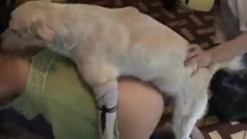Nude woman gets her pussy humped by the family dog