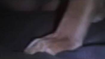 Intimate first-person animal sex video featuring a timid-appearing novice female