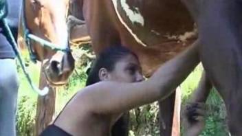 Lustful Latina asks this dude to blow his stallion