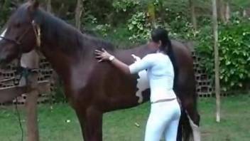 Ponytailed babe wants that stallion cock real bad
