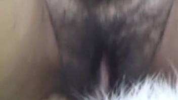 Curvaceous brown-haired woman relishes wild animalistic intercourse with a dog