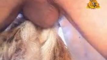 Guy thrusts his steamy dick deep into this beast's snatch