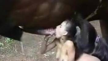 Ponytailed Latina experiences anal with a horny stallion