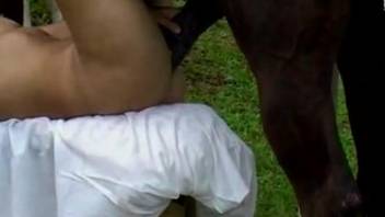 Blonde with amazing tits getting drilled hard by a horse