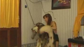 Small-tit chick gives a passionate blowjob for a horny dog