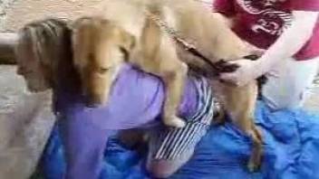 Fat booty blonde enjoying hard sex with a dog