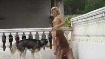 Playful babe zoofil and her doggy have nice anal