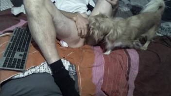 Dude's butthole is getting rimmed by a kinky dog