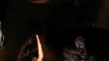 Overweight older animal enthusiast receives a messy oral session on webcam