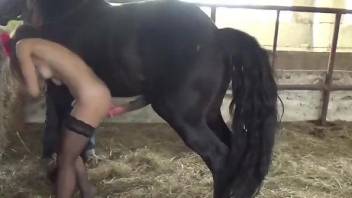 Stockings-wearing brunette fucked silly by a horse