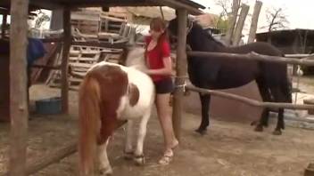 Voluptuous naked woman toys with her vagina in bestiality videos