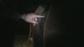 Brunette filly being screwed by a super horny dude