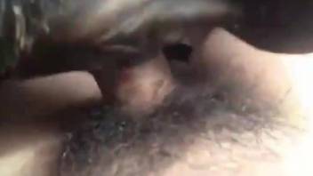 Hairy cock dude fucking a horny animal from behind