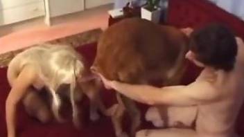Blonde goes on all fours and gets fucked by a dog