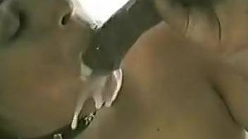 Collared babe getting throated by a horse boner