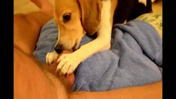 Hot beast pawing at this guy's cock