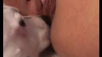 Fat woman loves the dog licking and sniffing her wet holes like that